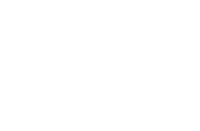 Grad Pula